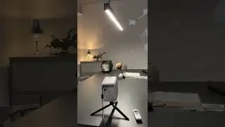 Ездили на съемку, такой послушный🥺🤍 inst: samoed_spb