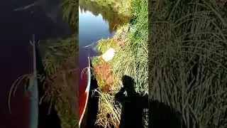 лодку утопил😱наплакался настрадался