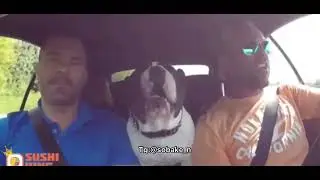 Тот самый друг, который не знает текст песни 😅😅🔉🔉