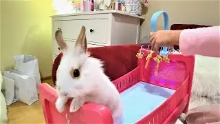 Милана и Лайк | Milana plays with Rabbit Likee