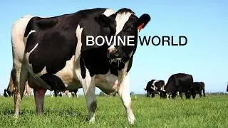 SonoScape's Newest Black and White Bovine Veterinary Ultrasound Machine - E1V - KeeboVet