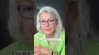 Puppy Diet Tips  with Dr Judy Morgan - Dog Mom News #shorts