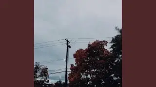 Pacific Northwest