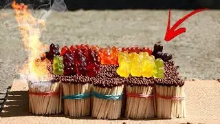EXPERIMENT: GUMMY BEARS VS 10000 MATCHES