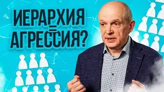 Иерархия = агрессия? Михаил Чернышев