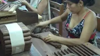 Haciendo Puros Tabacalera del Oriente Tarapoto, Peru.mp4