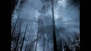 Karmaşa Albüm - Hayâl(Outro)