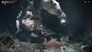 Demon's Souls Vanguard Defeat 1st Try