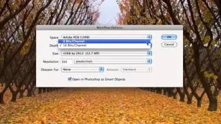 How To Configure Camera Raw’s Workflow Options