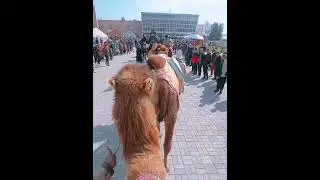 наурыз 2022 жыл