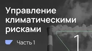 BRIF'21 Практические кейсы по управлению климатическими рисками (часть 1)