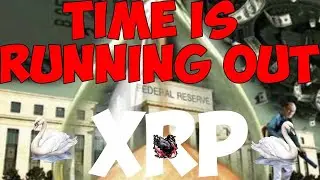 Ripple XRP OUR FIRST MAJOR WHITE SWAN EVENT JUST HAPPENED TODAY A HUGE DAY MY TIMELINE LEAKED!!!