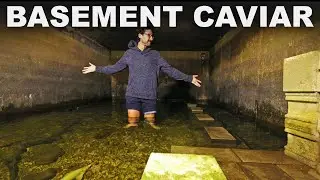 Raising BIG fish in a home cistern (with 