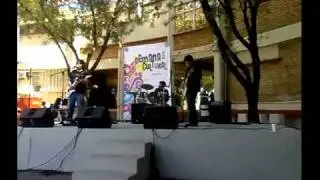 Cuanto Poder - Los Ornitorrincos
