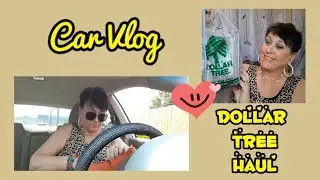 Car Vlog |  Shop Dollar Tree + Haul