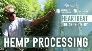 Heartbeat Of The Industry - Hemp Processing in Margaret River