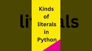 What are Literals in Python?
