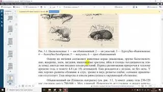 Биология зверей и птиц