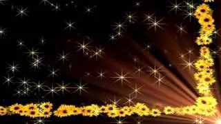 Video Background , wedding Background, Video Background HD 4K  1080P 478