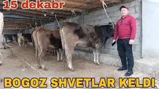 BOGOZ SHVETLAR SOTILADI ☎️902052128