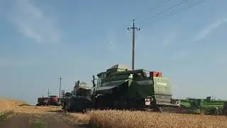 Летняя профилактика против клеща Варроа