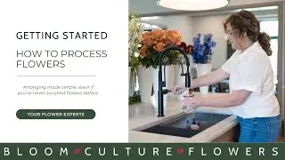 DIY Flower Tutorial - Getting Started with Flowers