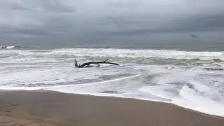 തീരങ്ങളിലൂടെ | Through the shores