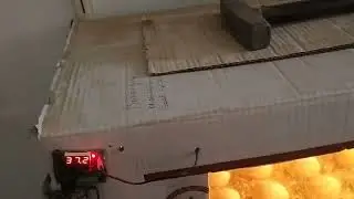 Karton Kutudan Kuluçka Makinesi-Bölüm 4