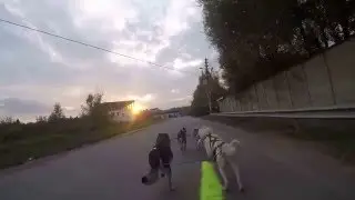 Тренировка Оля 05 10 15