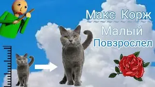 Макс Корж-Малый повзрослел 🌸💞💥 // кплипчаг на  #КонкурсОтsteffanyava