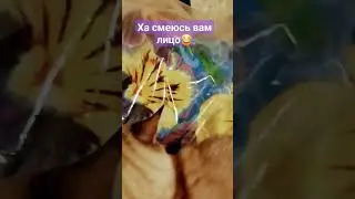 я жив! вернулся😈