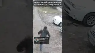 Вольнолюбие #юморсмешно #юмор #хаха #9мая #деньпобеды #шутки #россия #путин