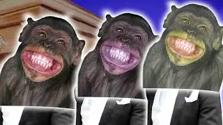 Monkey -  Coffin Dance Song (COVER) #161