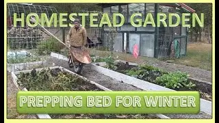 HOMESTEAD GARDEN - PREPPING BED FOR WINTER
