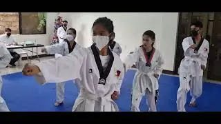 Taekwondo Foundation 1