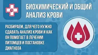 Для чего нужно сдавать анализ крови у животных?