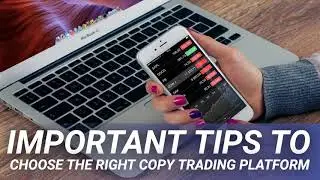 Important Tips To Choose the Right Copy Trading Platform