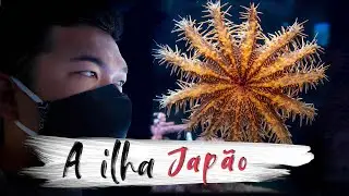 ILHA PARADISIACA PRAIA NO JAPAO Lu Yoshi Japan