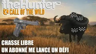 THEHUNTER COTW - DÉFI BUFFLE AU 22 LR