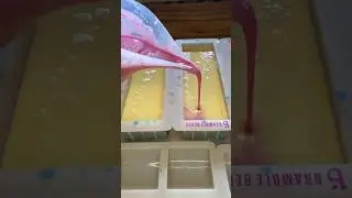 No More Frogs? 🐸🌈 