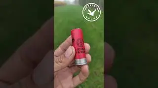Пакистанские патроны 12 калибра 