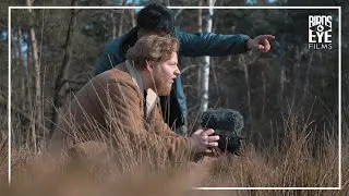 Let us find your story. | BirdsEye FIlms