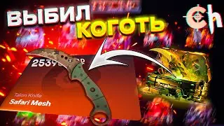 ВЫБИЛ НОЖ КОГОТЬ НА КЕЙС ХАНТ! БЕШЕНЫЕ ШАНСЫ ПОСЛЕ ВЫВОДА CASE HUNT!!