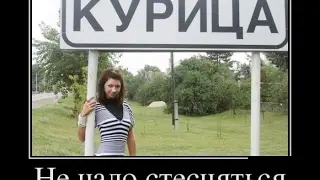 Приколы...Тем Временем в России ★  2017 Январь