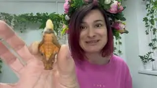 Интерактивная игра угадай бабочку