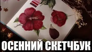 ОБЗОР ОСЕННЕГО СКЕТЧБУКА