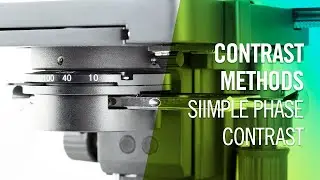 Contrast Methods - Simple Phase Contrast | by Motic Europe