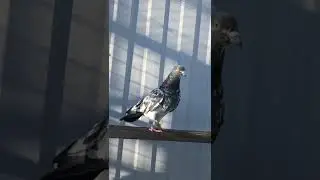 21 февраля 2022 г.