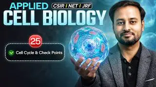 Cell Cycle & Check Points | Applied Cell Biology | CSIR NET Dec. 2024 | Emotion 4.0 | IFAS