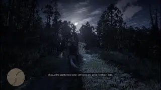 Rdr2 wtf